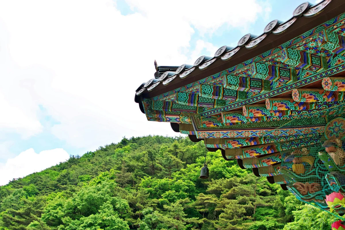 Daegu National Museum feature