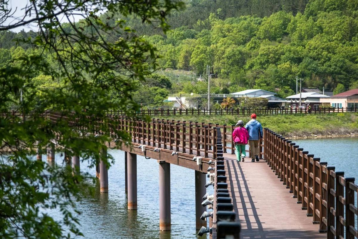 Dowon Wetland Ecology Park view 2
