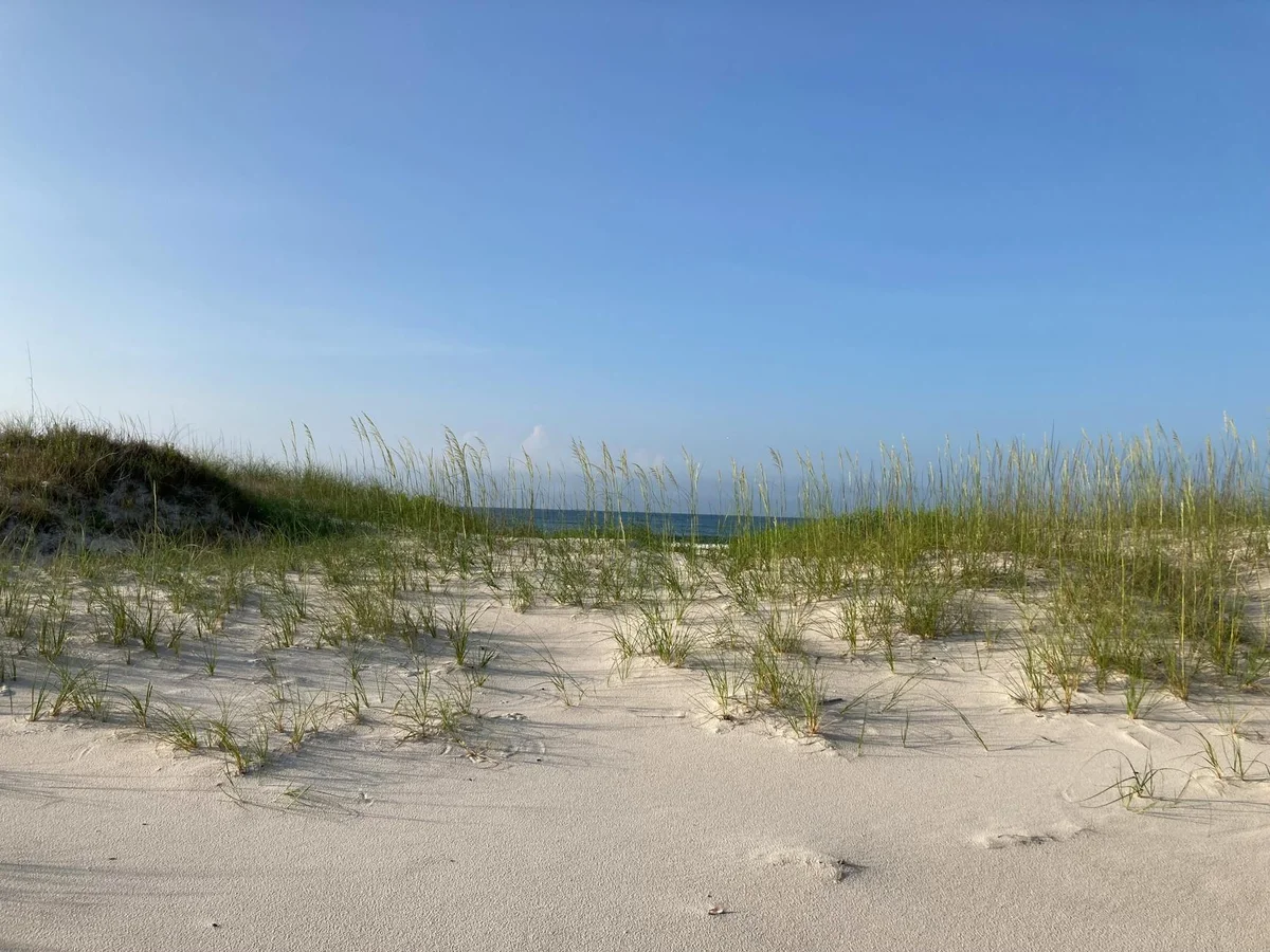 Sinduri Coastal Sand Dune view 2