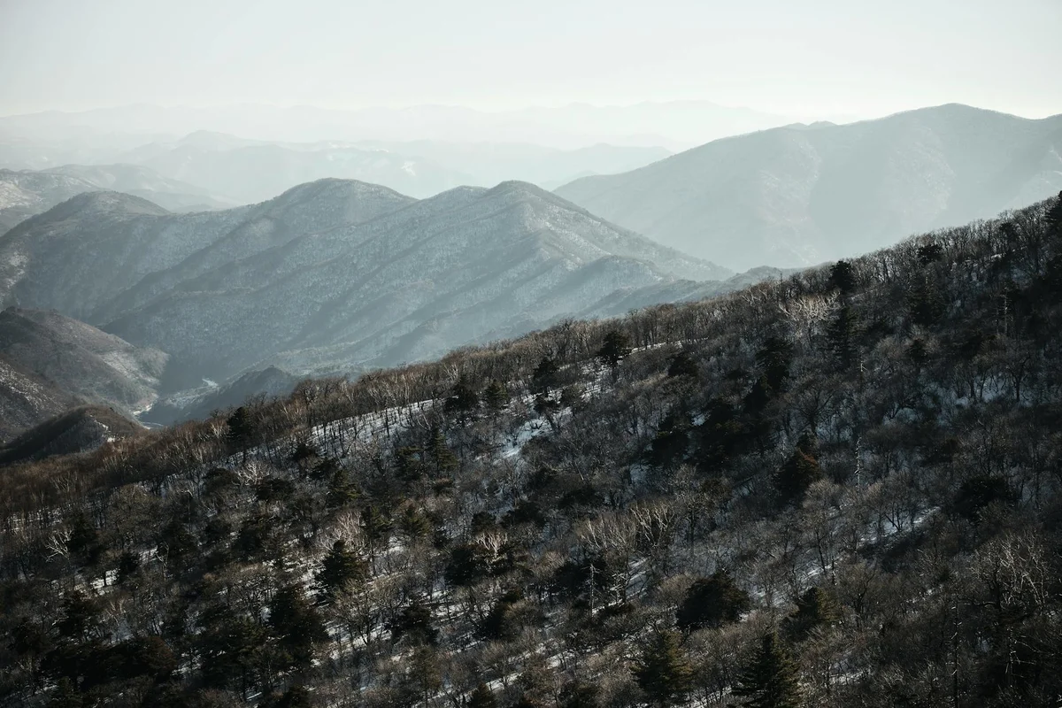 Gangneung Olympic Park view 2