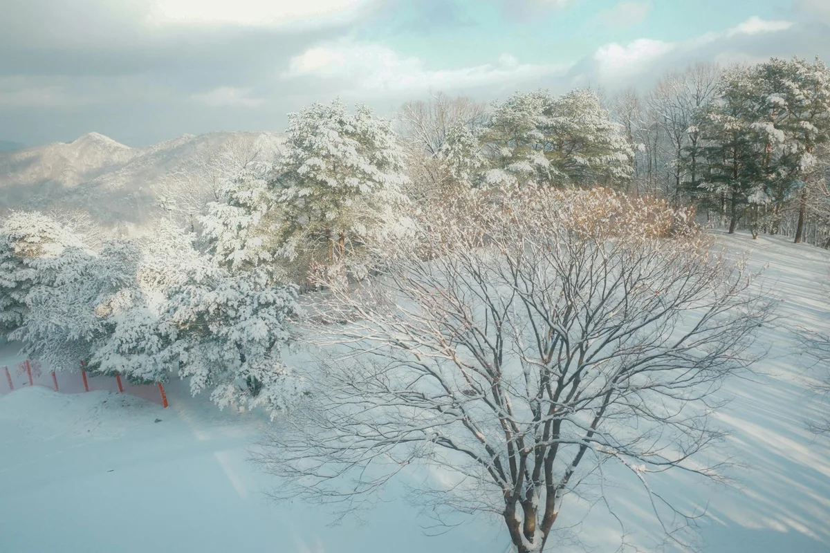 Gangneung Olympic Park view 1