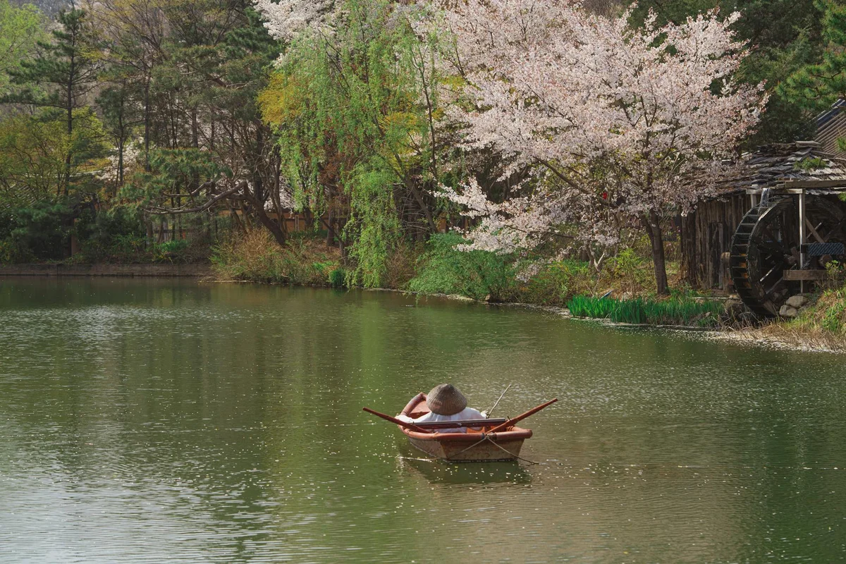 Gyeongpo Lake feature
