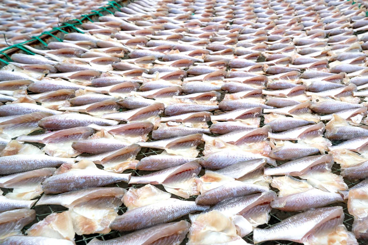 Jumunjin Fish Market view 1