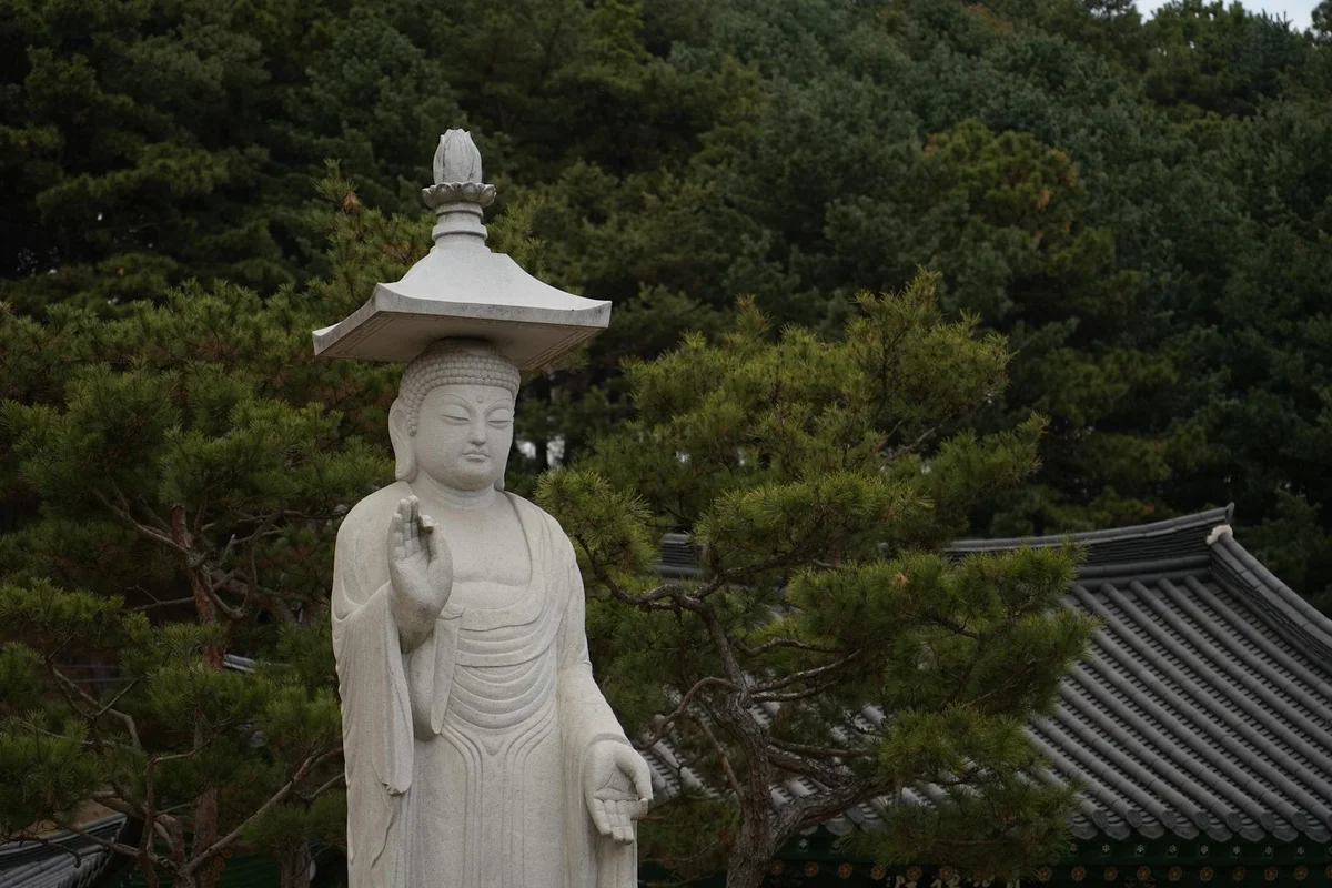 Gyeongju National Museum view 2