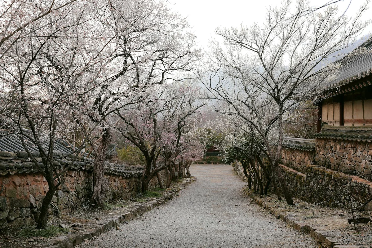Seonamsa Temple view 1