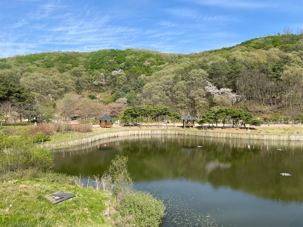 Silla Millennium Park view 1