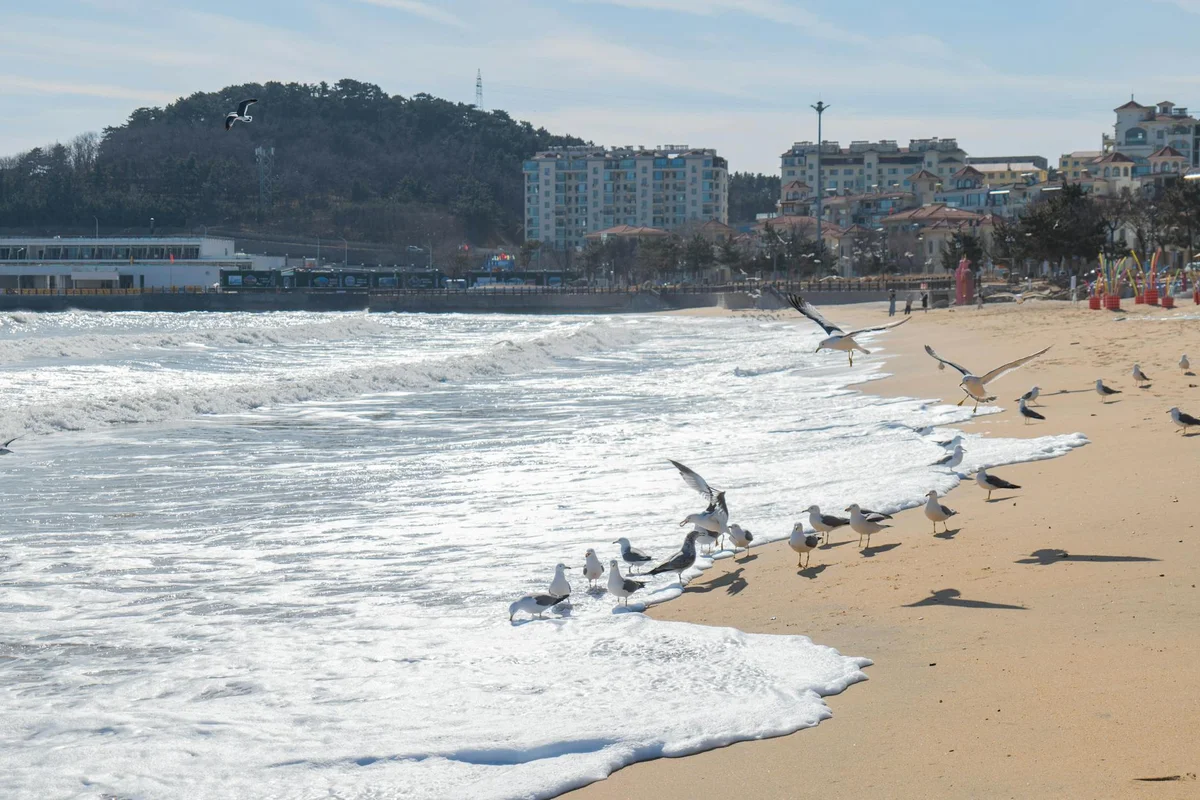 Eurwangni Beach view 2