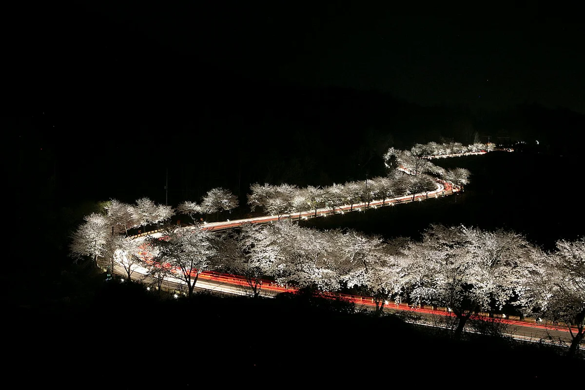 Incheon Grand Park view 1