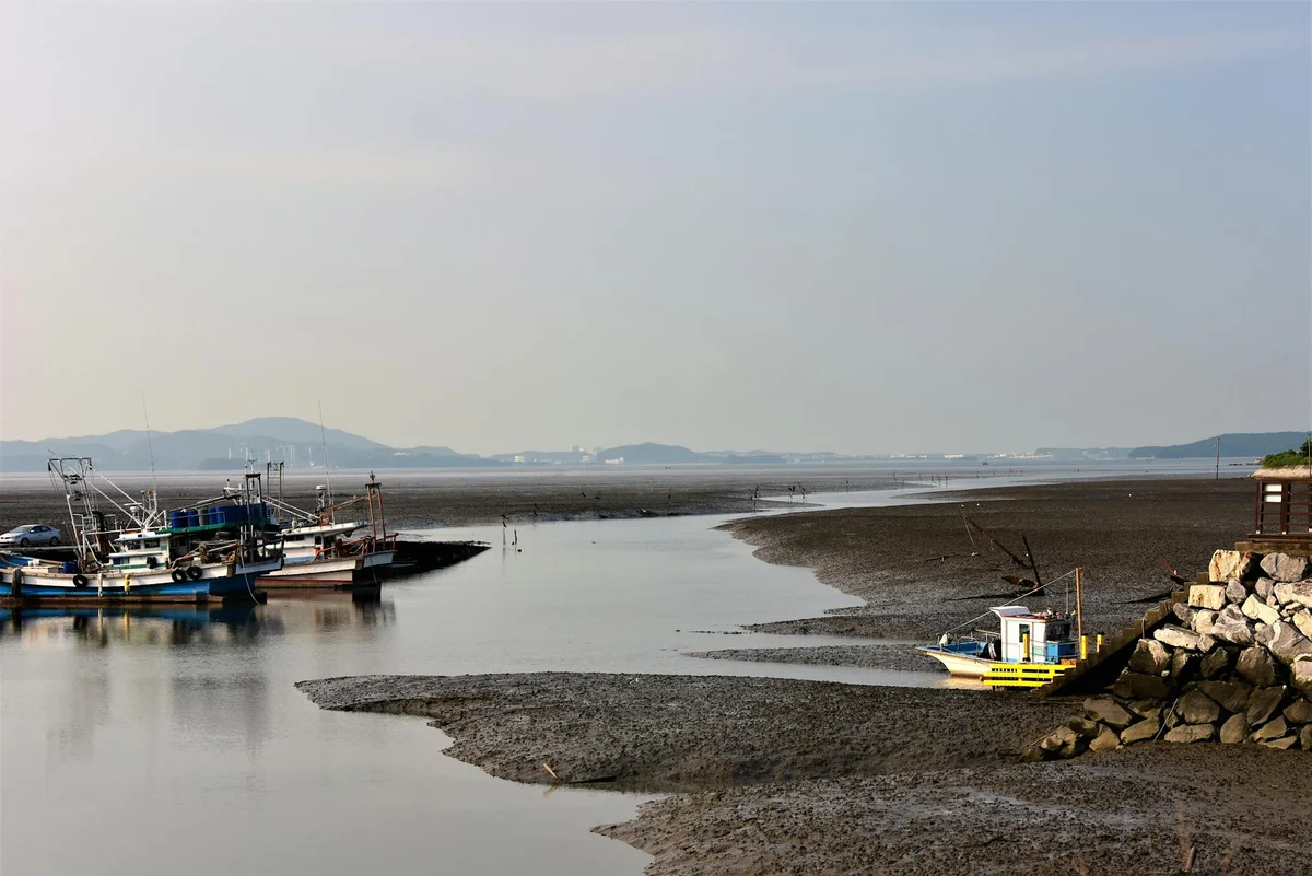 Sorae Fish Market view 1
