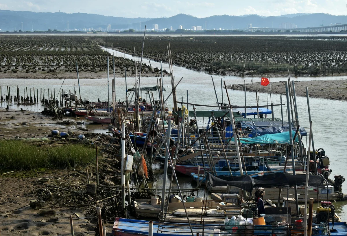 Sorae Fish Market view 2