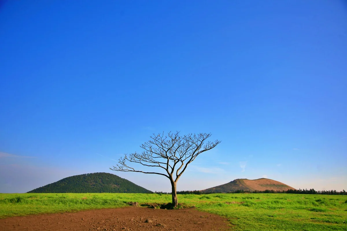 Gujwa-eup view 2