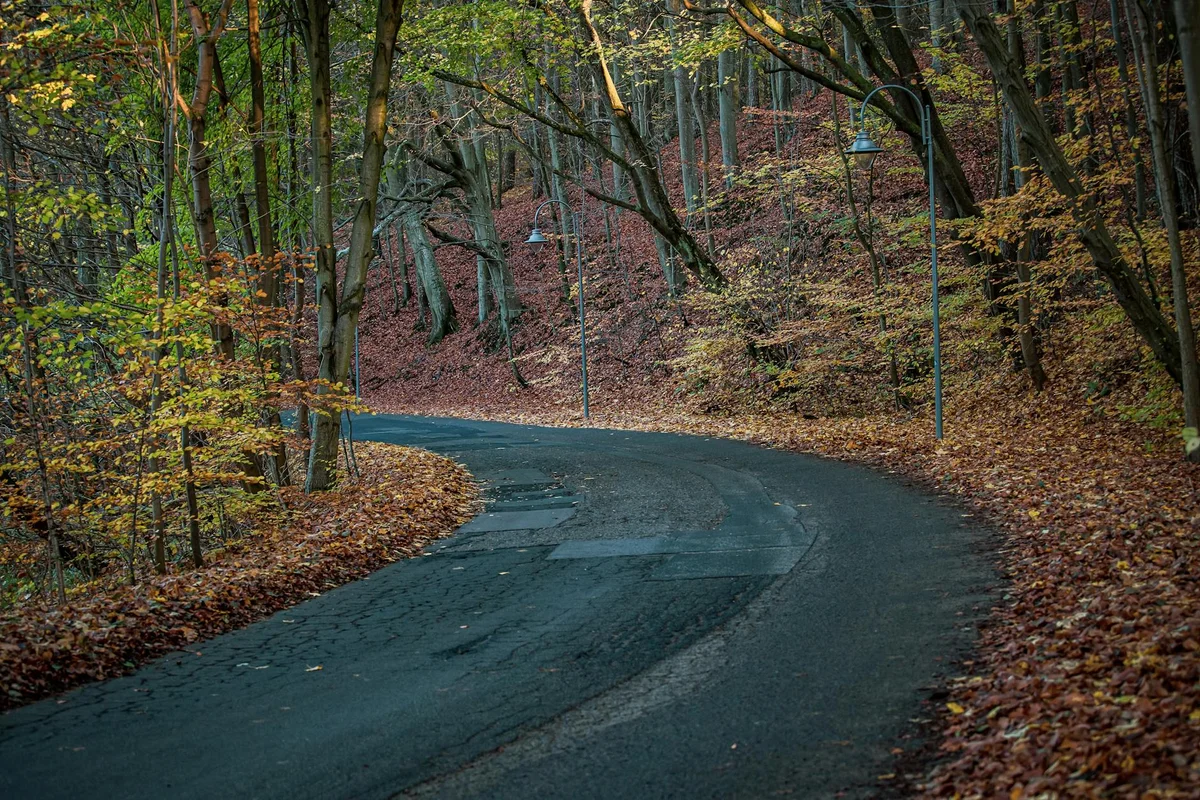 Saryeoni Forest Path feature