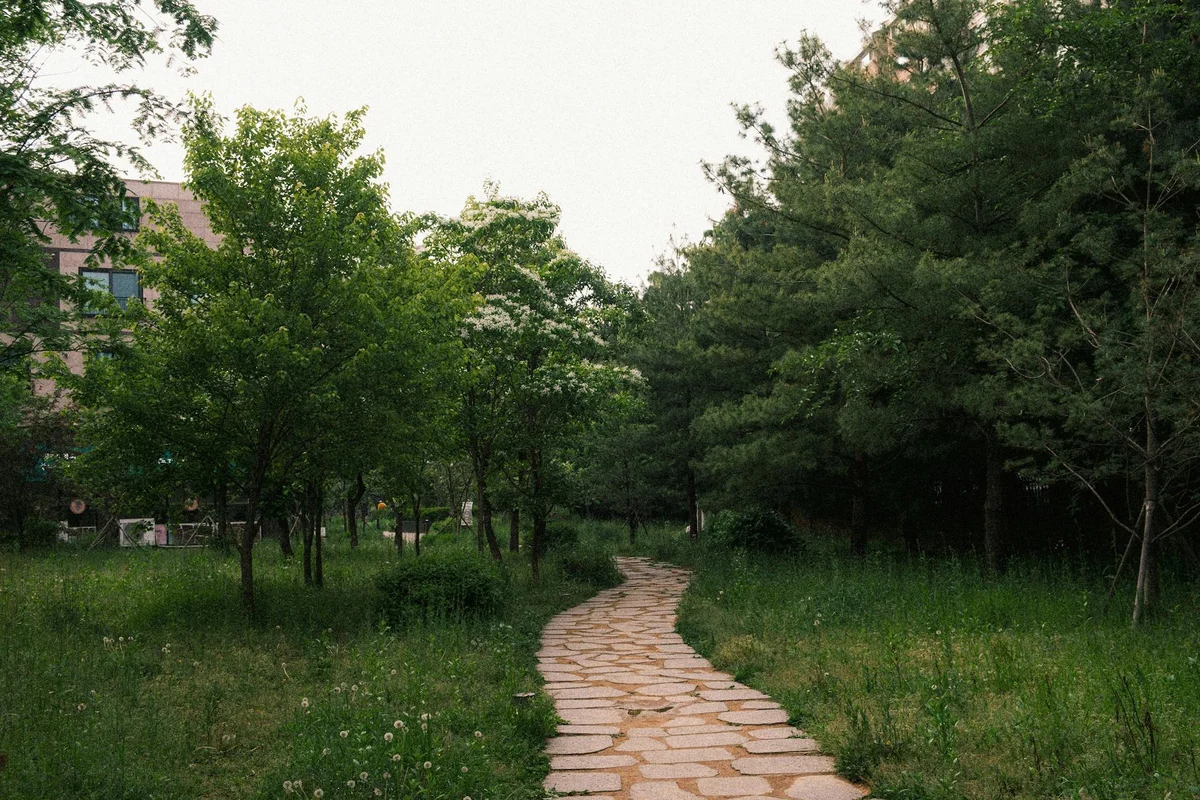 Spirited Garden view 2