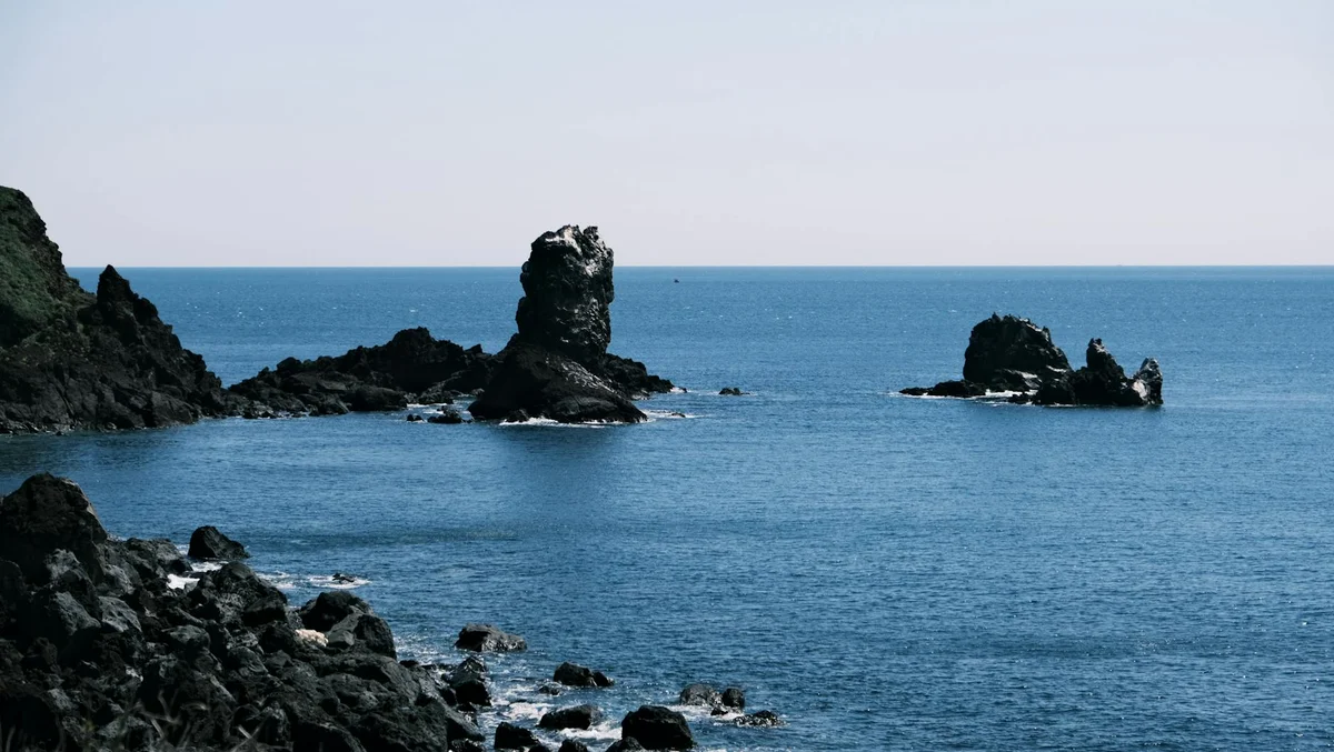 Teddy Bear Museum Jeju view 2