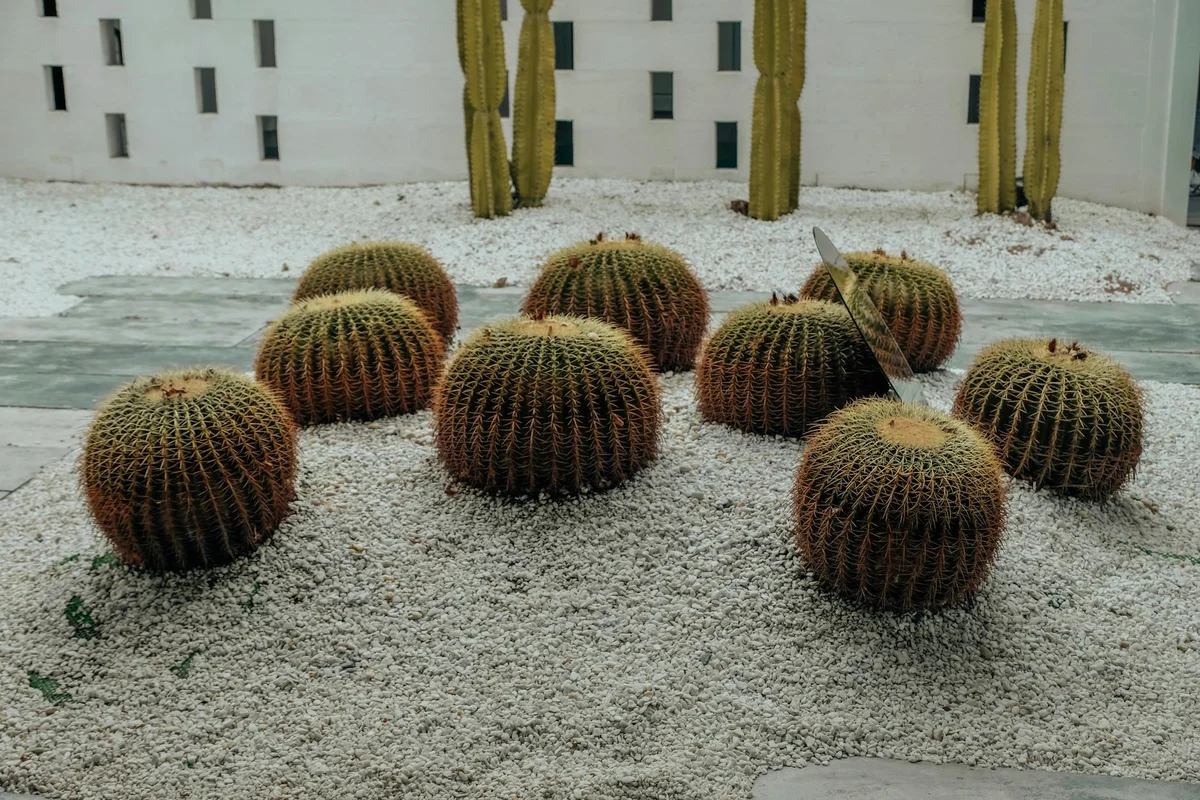 Yeomiji Botanical Garden view 2
