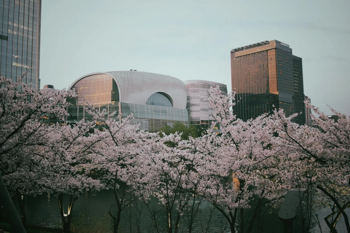 Gyeonggi Arts Center view 2