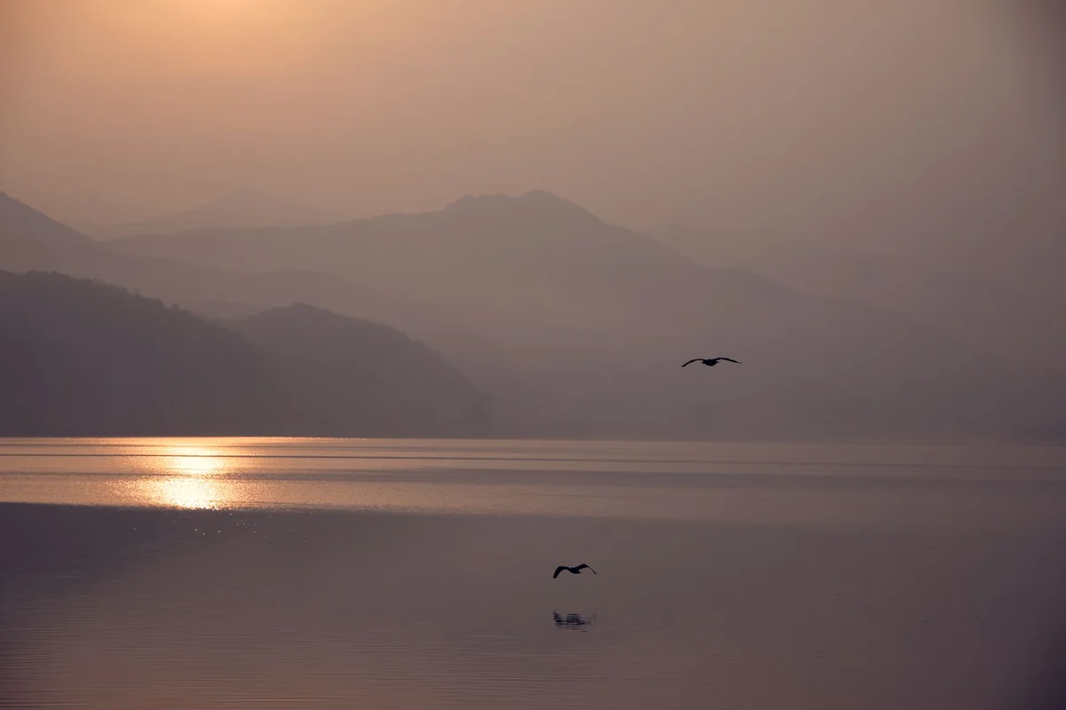 [object Object] view 2