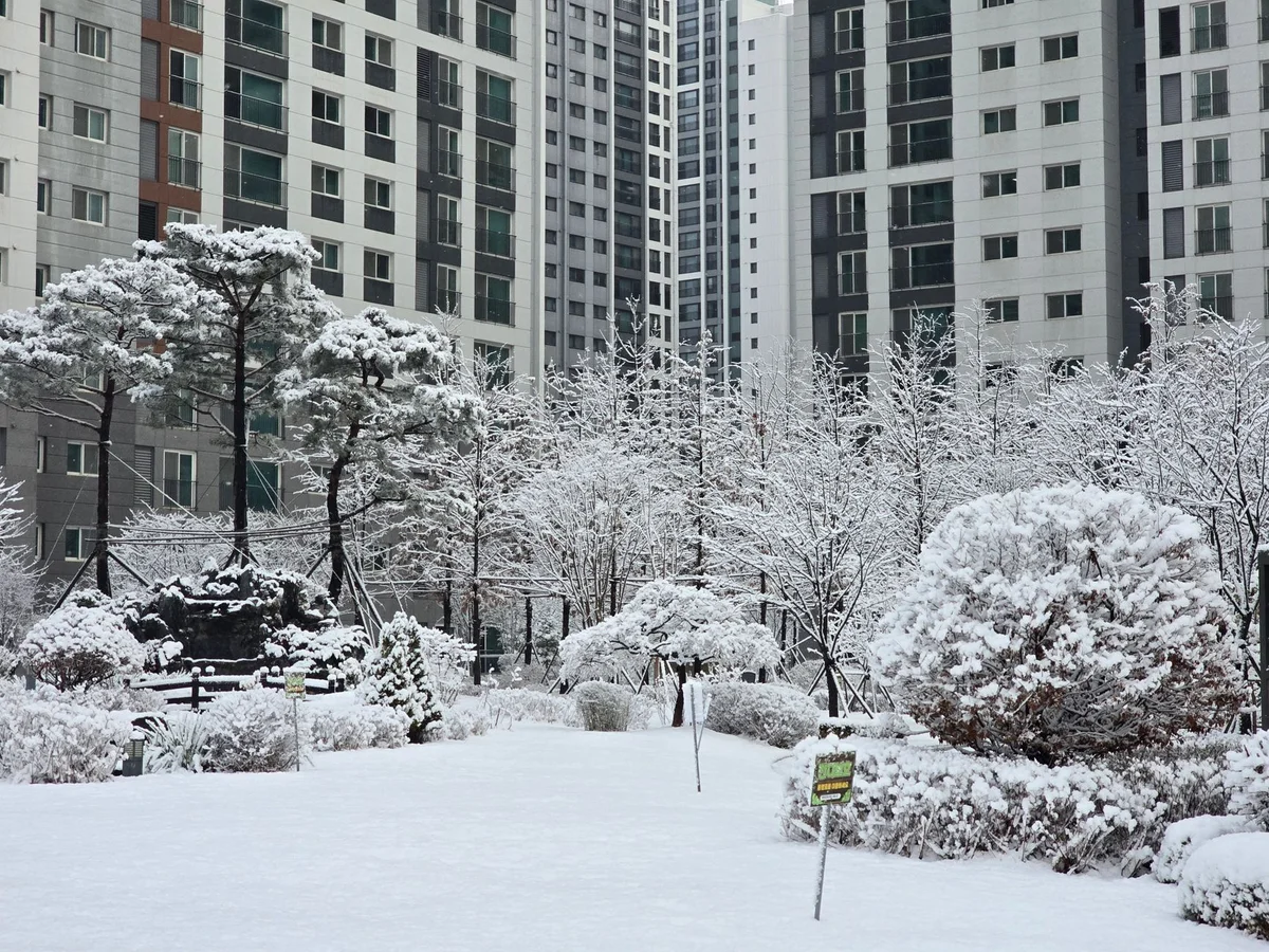 Dosan Park view 1