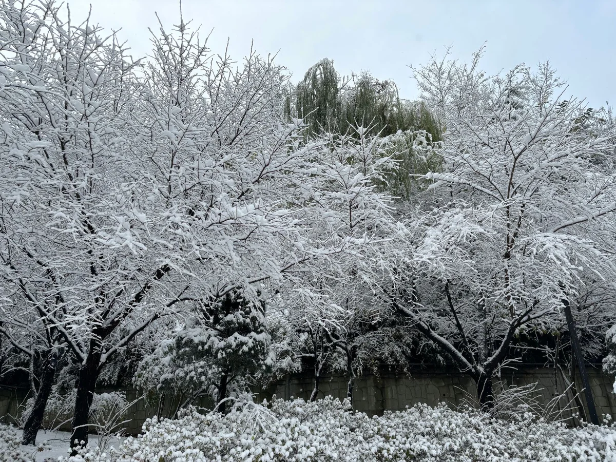 Dosan Park view 2