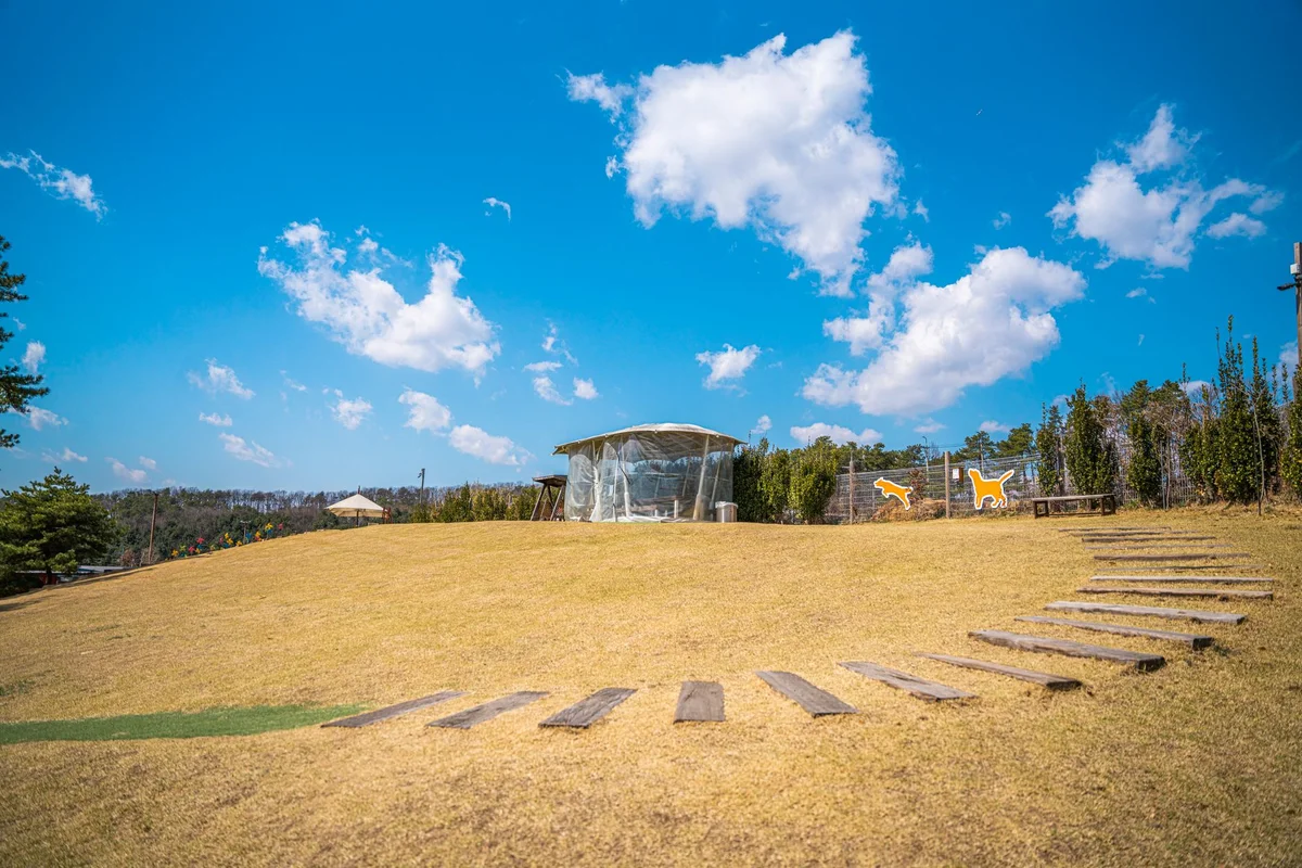 Ganghwa Dolmen Park view 1