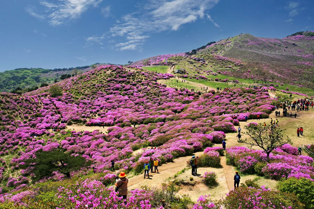 Hallasan Yeongsil Trail feature