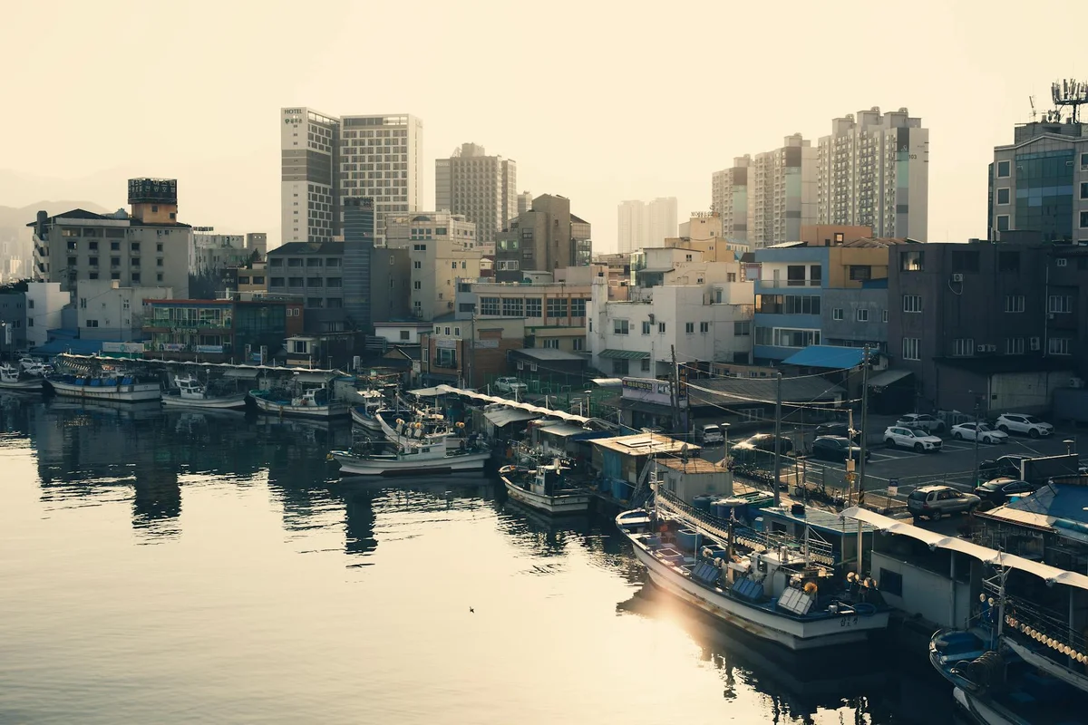 Jagalchi Fish Market view 2