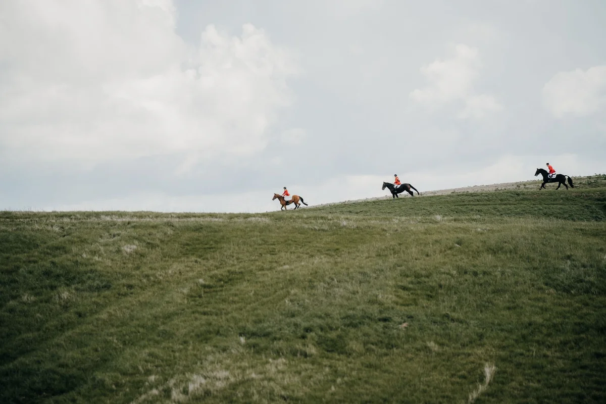 Jeju Horse Park view 1