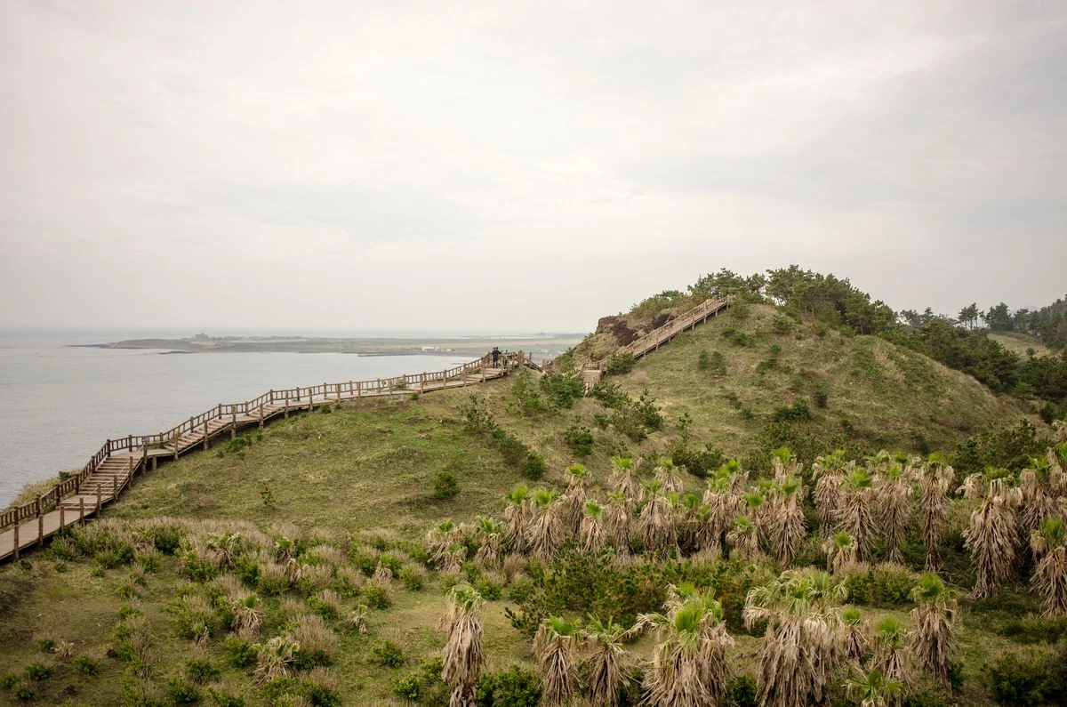 Jeongdong-Simgok Badabuchae-gil view 1