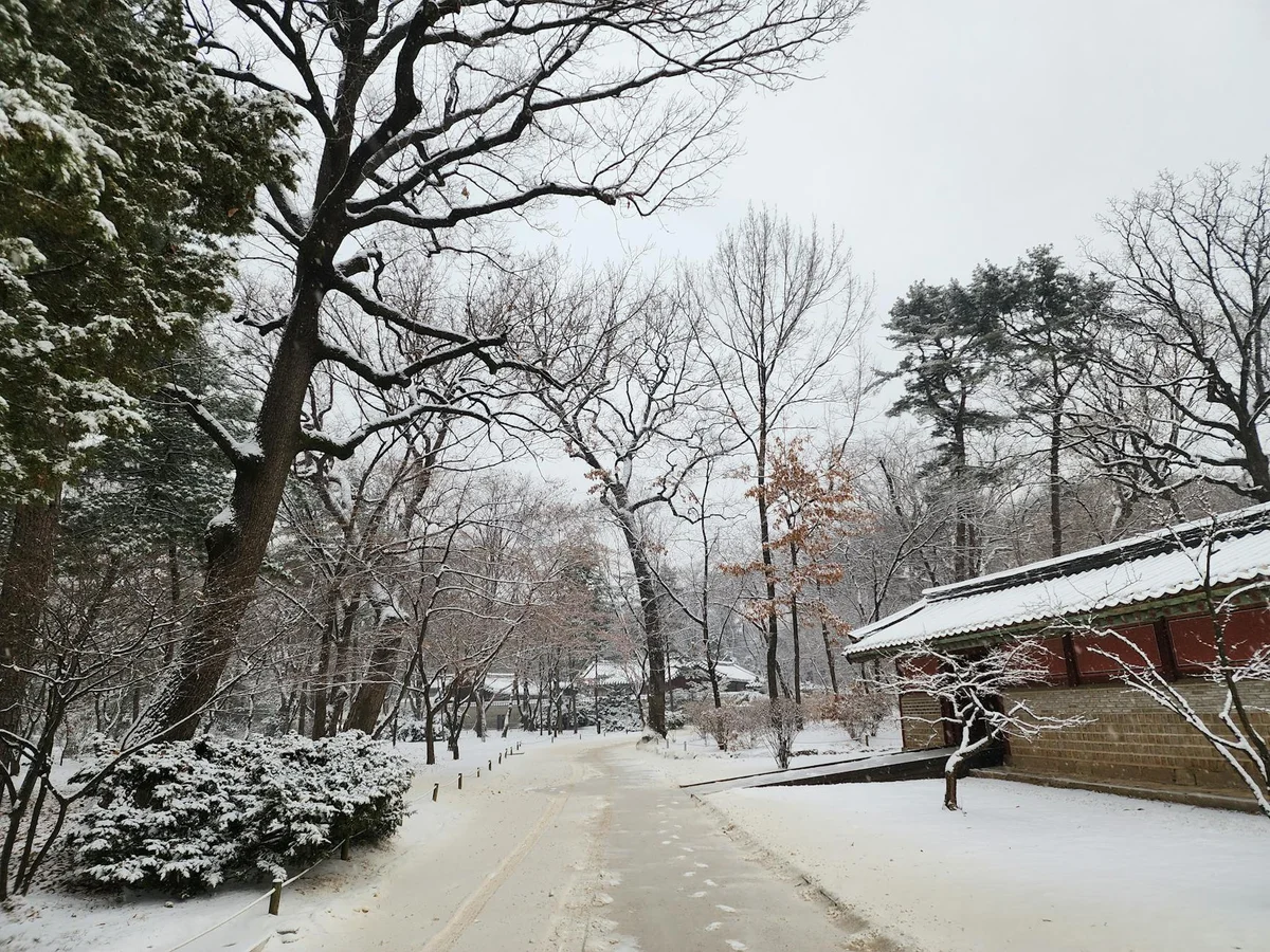 Jongmyo Shrine view 1