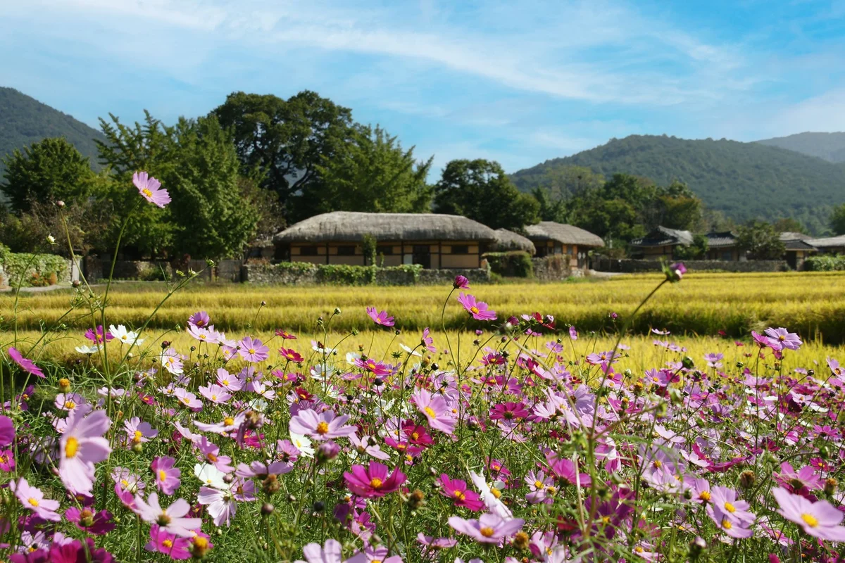 Motgol Folk Village feature