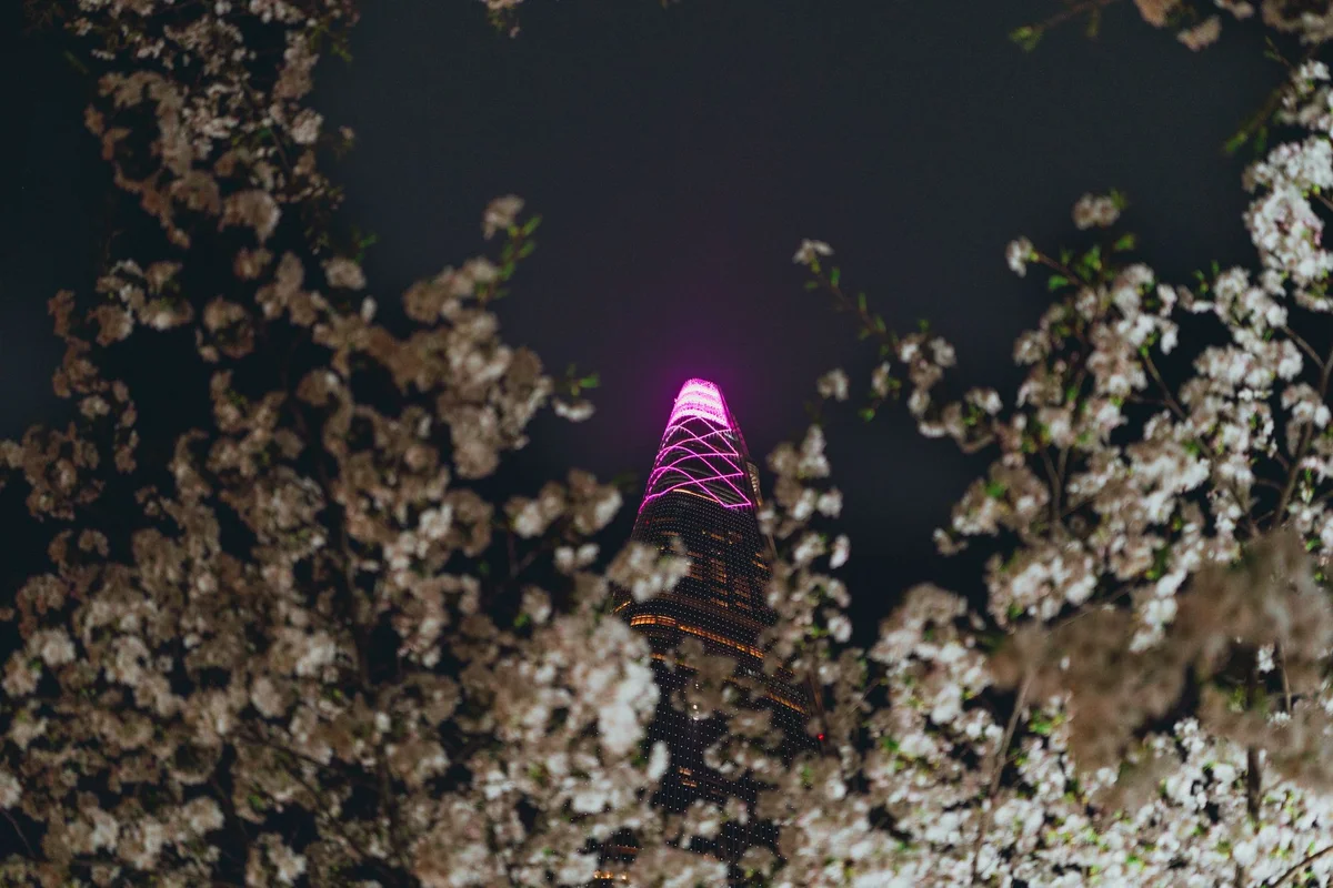 N Seoul Tower feature