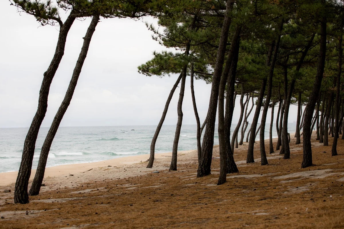 Seobinbaeksa Beach view 1