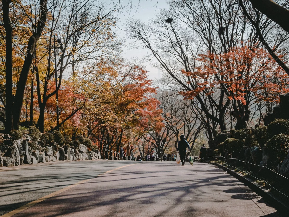 Seoul Forest view 1