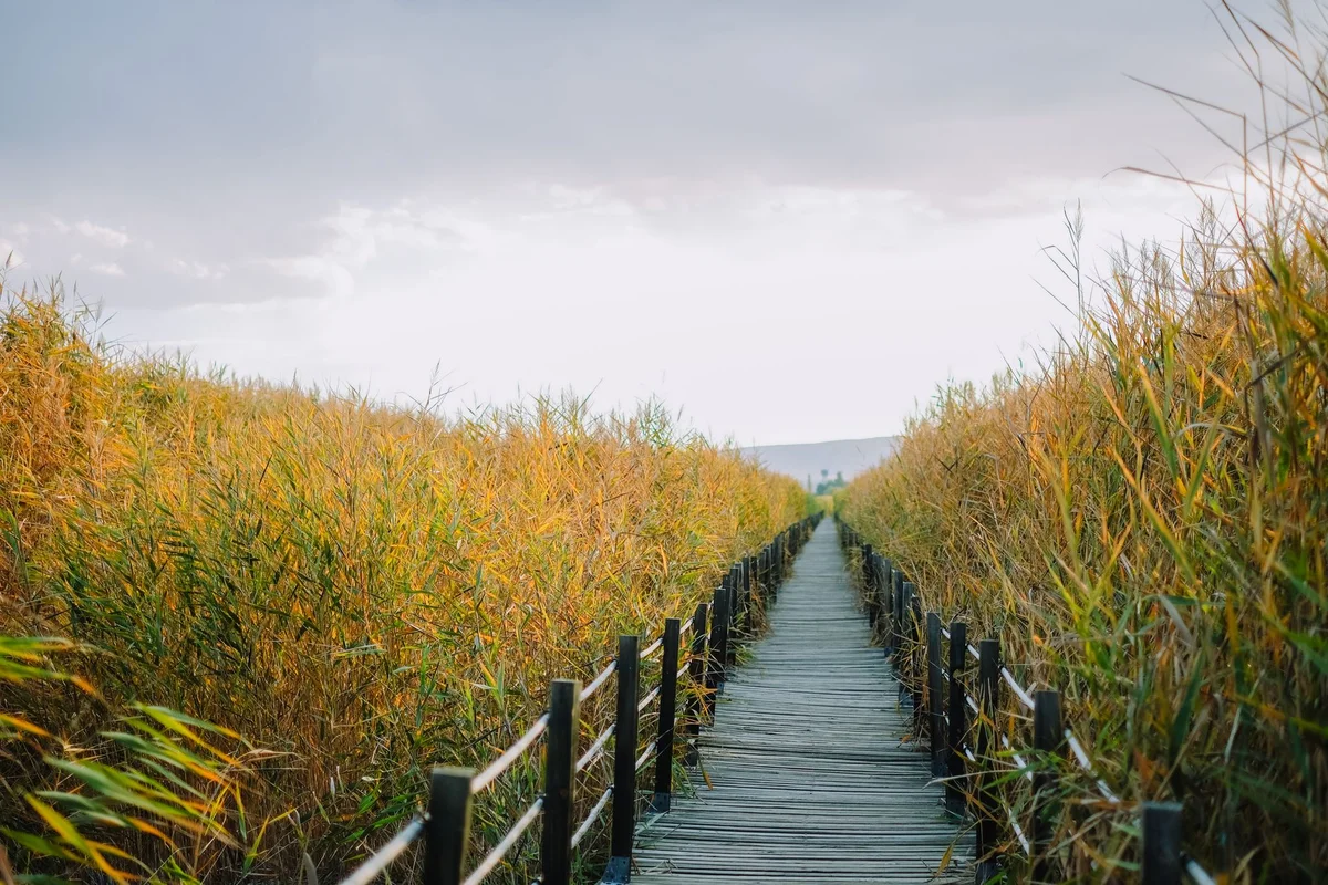 Sorae Wetland Ecological Park view 1