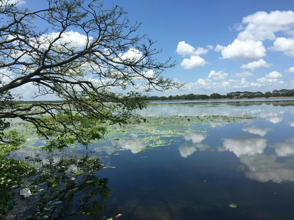 Anuradhapura view 2