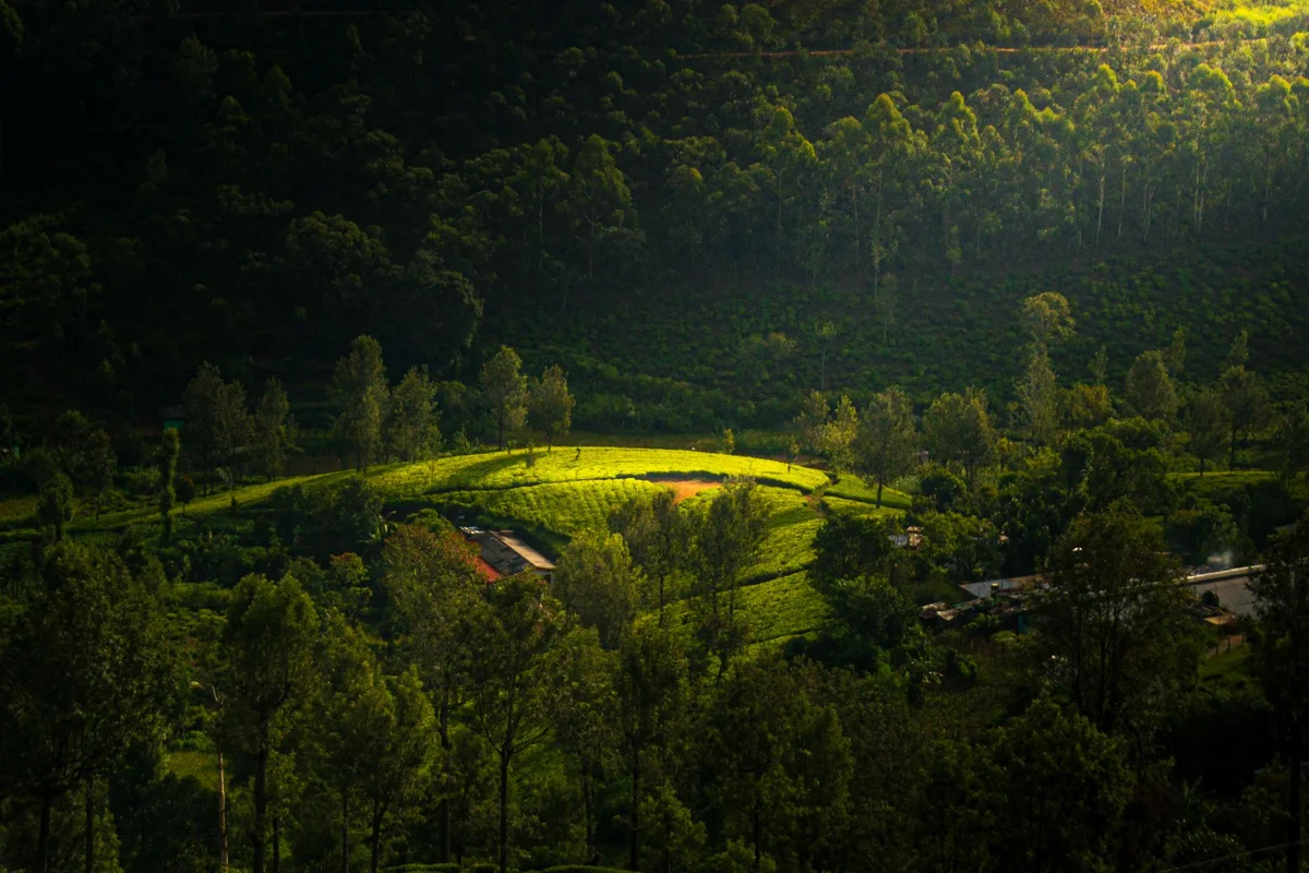 Kandy to Ella Train Journey view 2