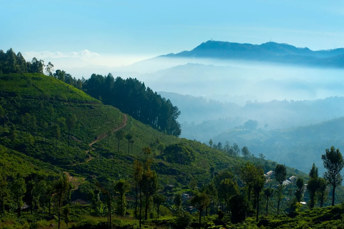Kandy to Ella Train Journey view 1