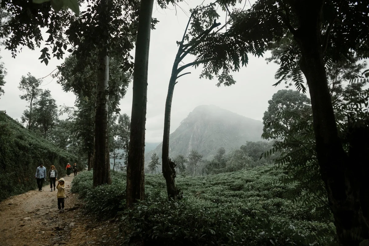 Little Adam's Peak view 1