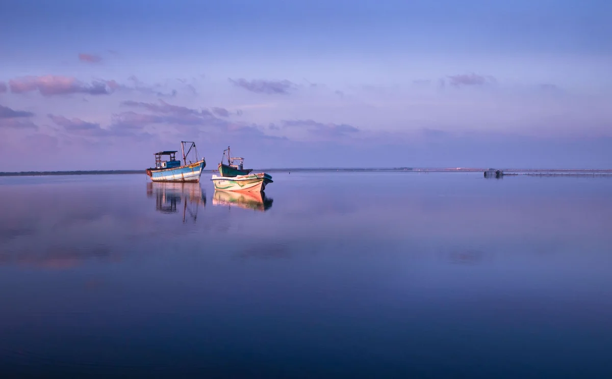 Negombo Fish Market view 2