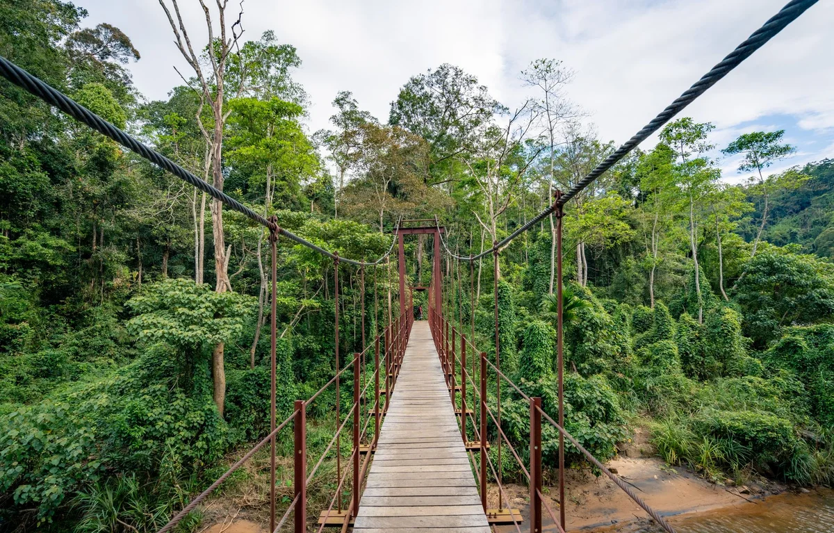 Royal Botanic Gardens, Peradeniya feature