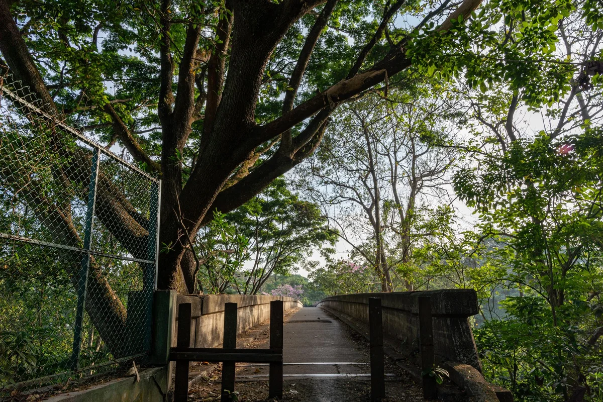 Royal Botanic Gardens, Peradeniya view 1