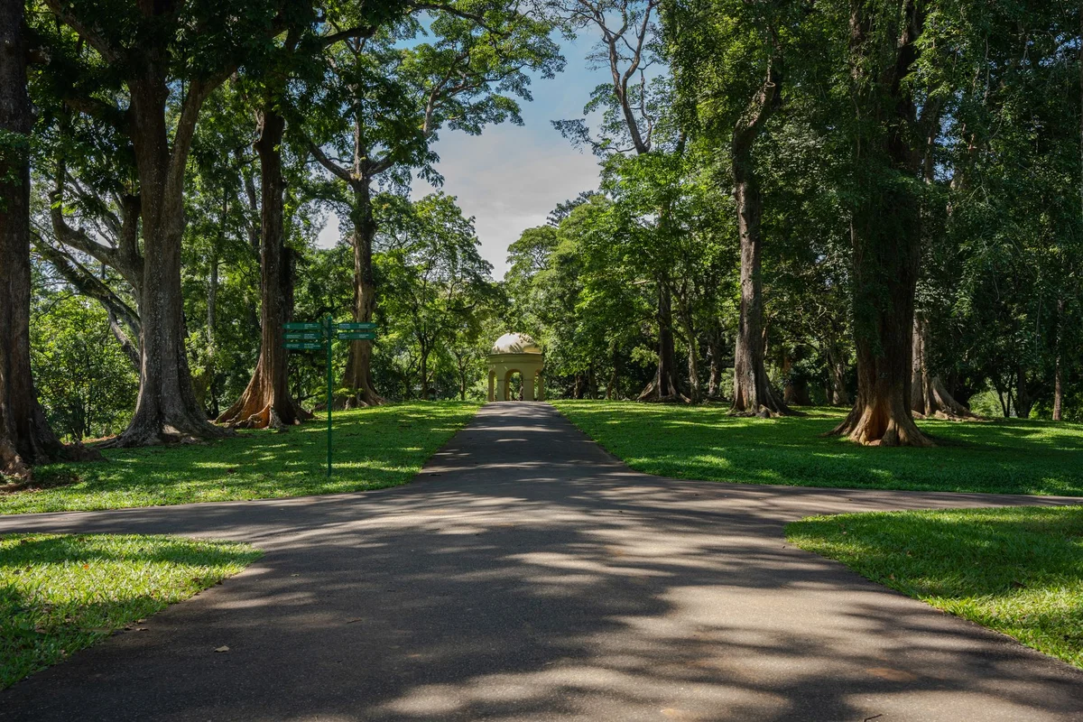 Viharamahadevi Park view 1