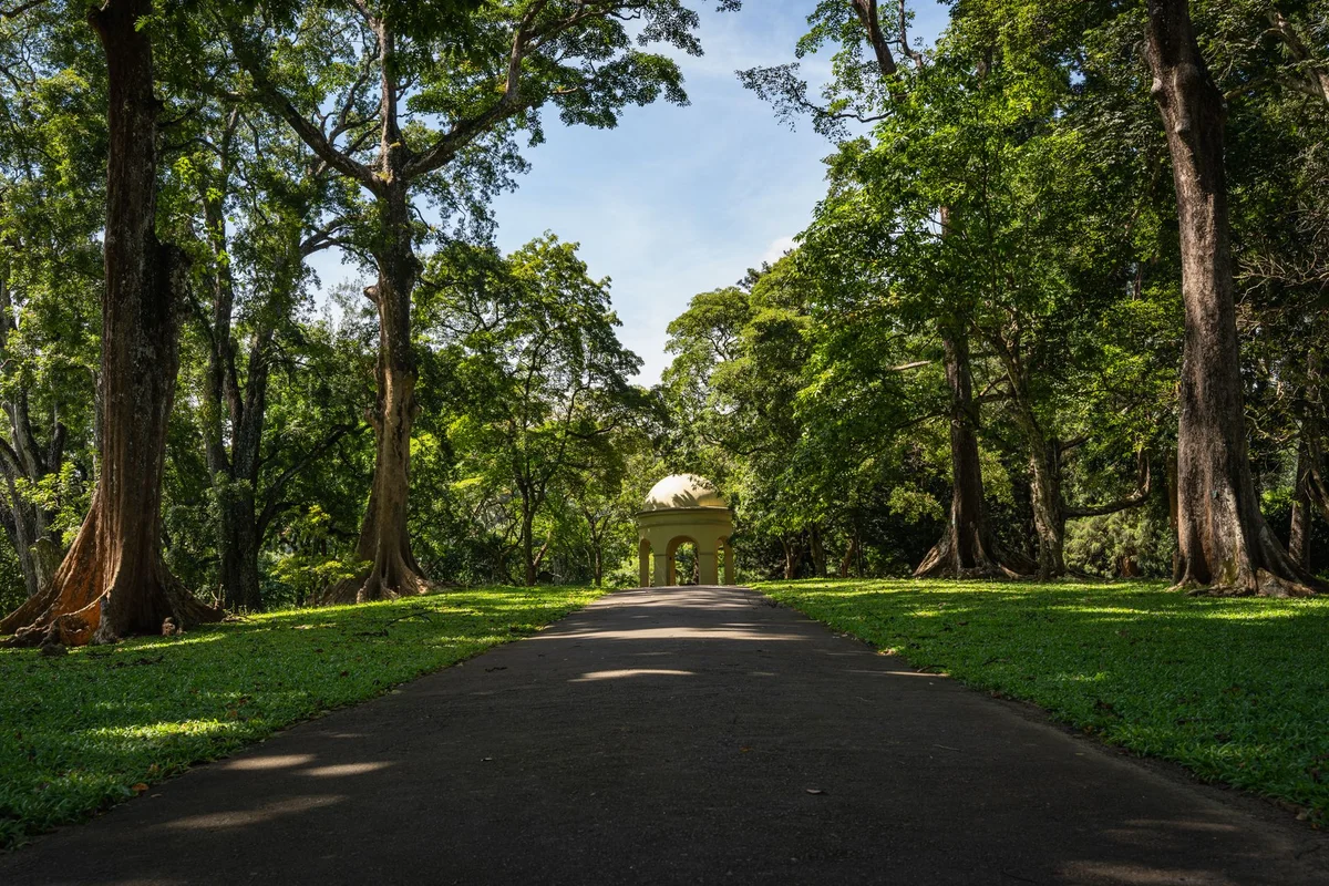 Viharamahadevi Park view 2