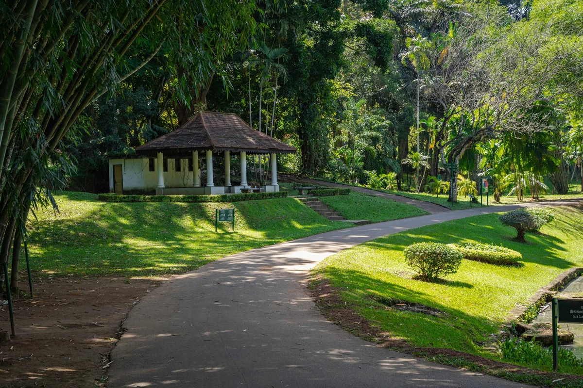 Viharamahadevi Park feature