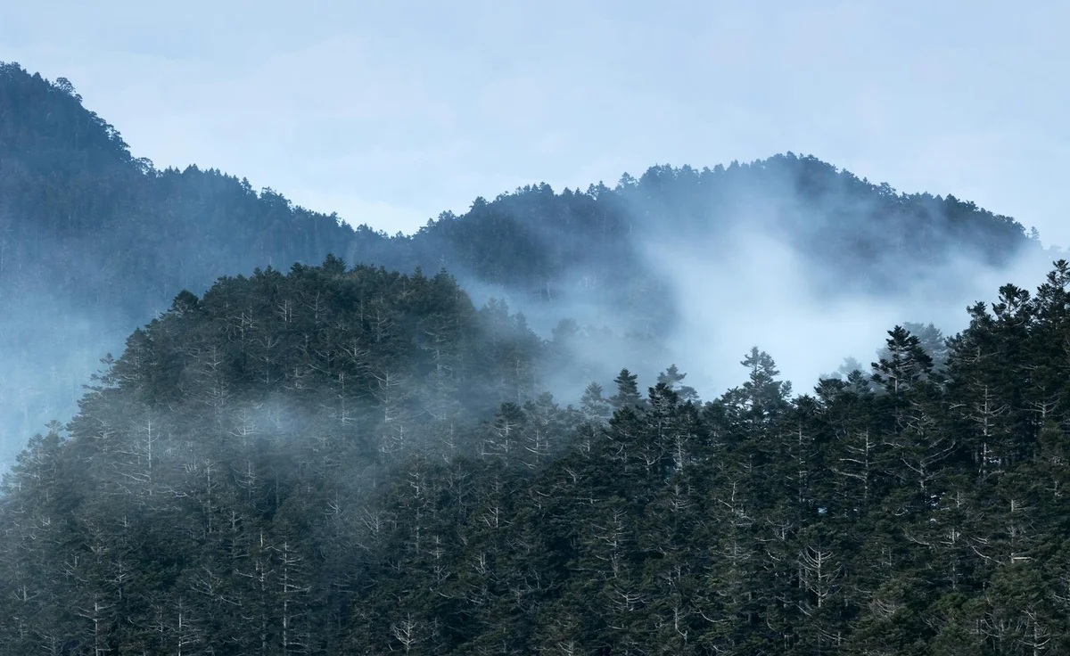 Lintianshan Forestry Culture Park view 2