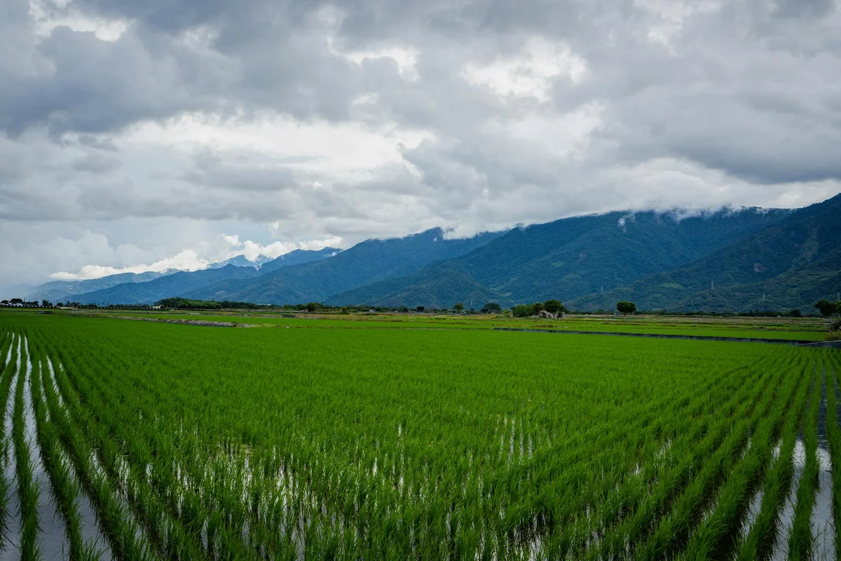 Yufu Bikeway view 1