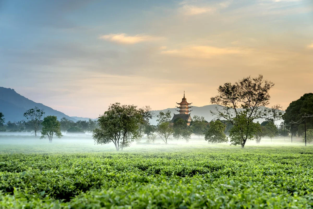 Ci'en Pagoda feature
