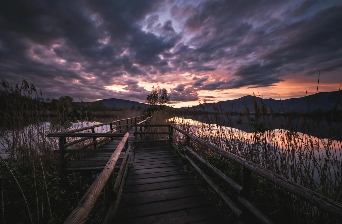 Gaomei Wetlands view 1