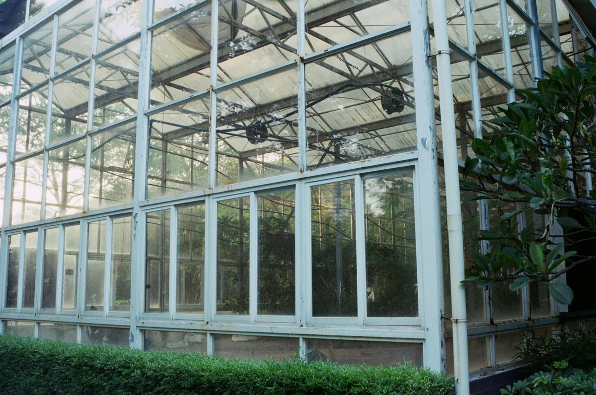 National Museum of Natural Science view 1
