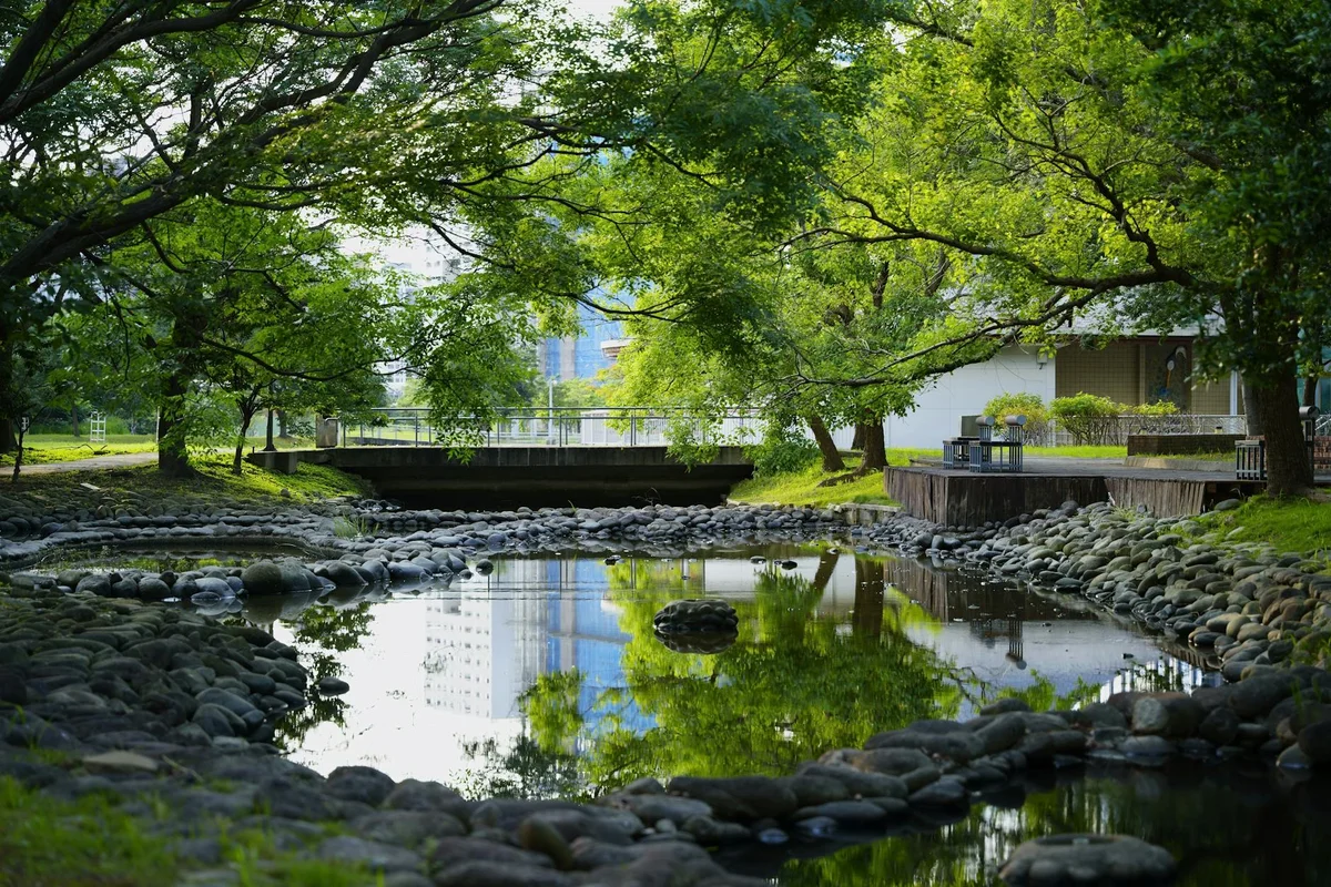 Xitou Nature Education Area view 1